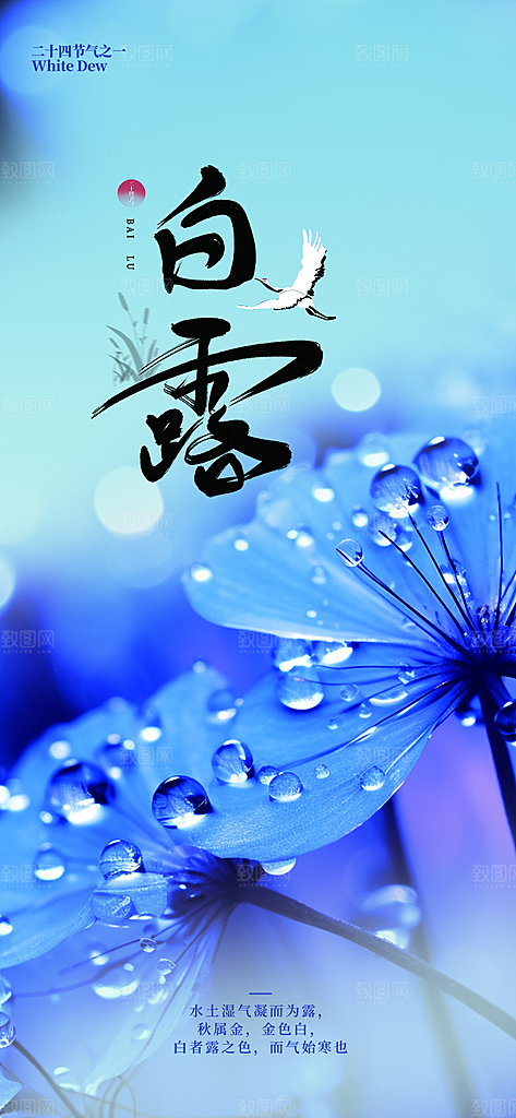 大气传统白露二十四节气海报