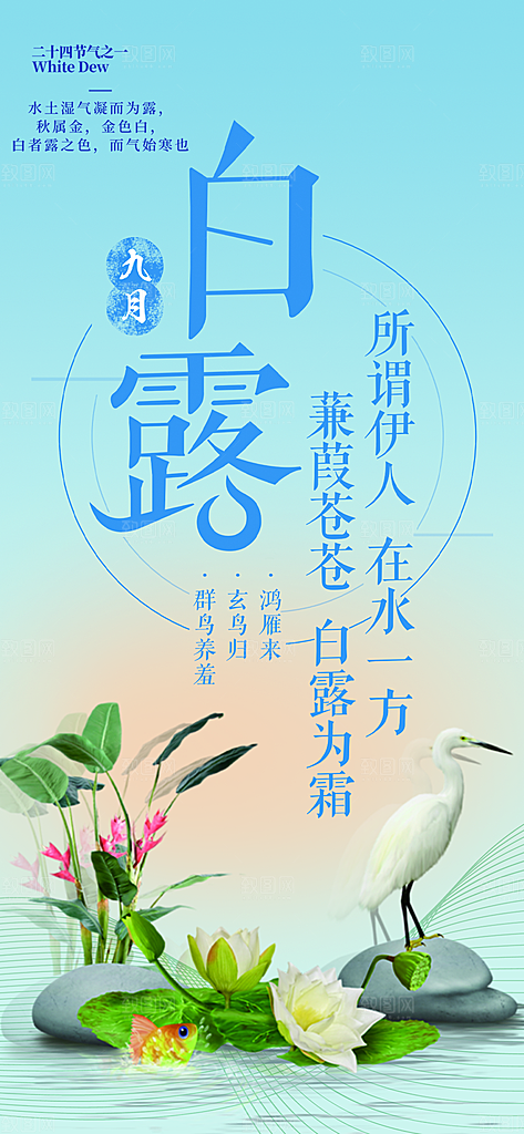 大气传统白露二十四节气海报