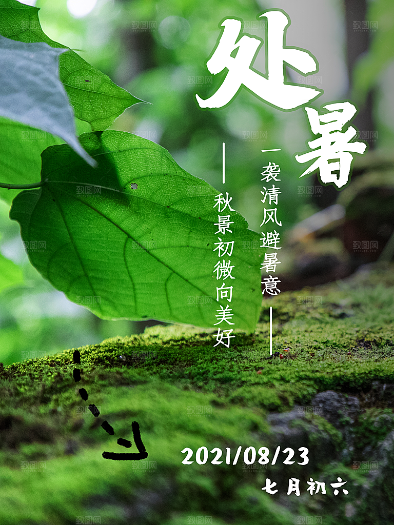二十四节气传统节日处暑宣传海报