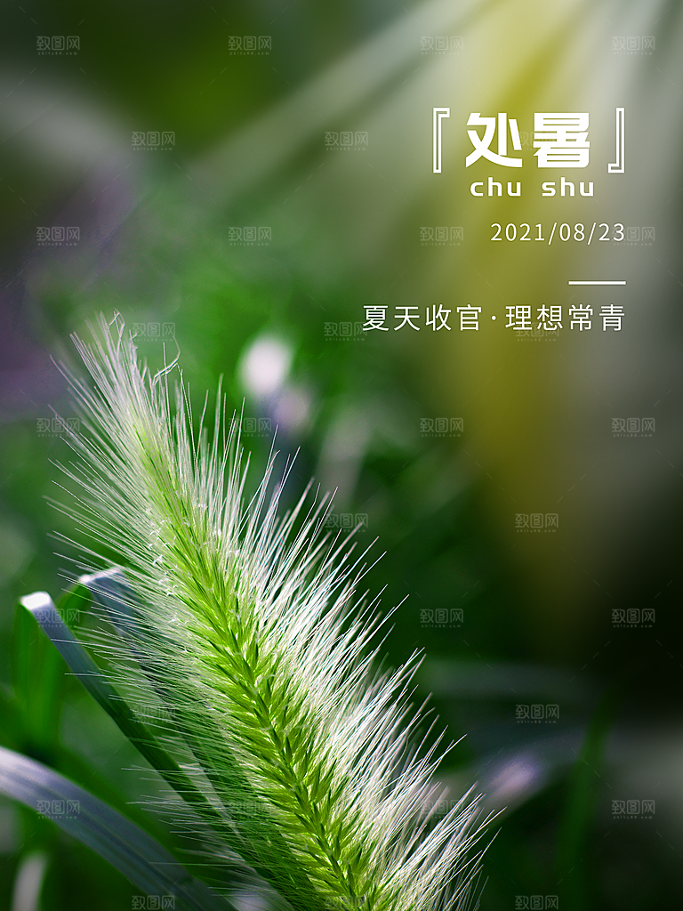 二十四节气传统节日处暑宣传海报