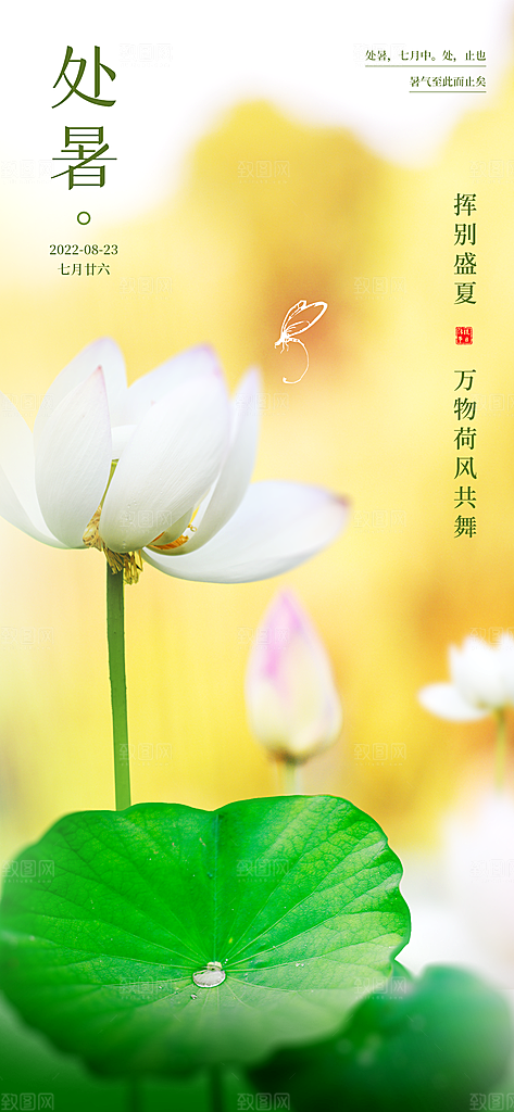 二十四节气传统节日处暑宣传海报