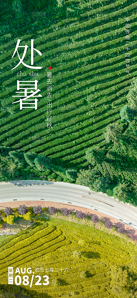 二十四节气传统节日处暑宣传海报