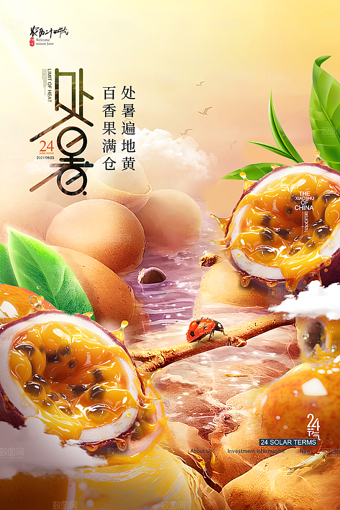 二十四节气传统节日处暑宣传海报