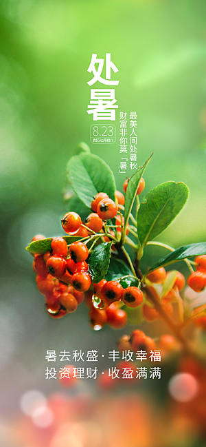 二十四节气传统节日处暑宣传海报