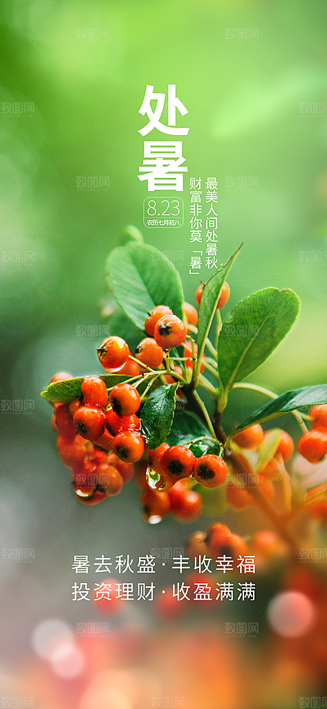 二十四节气传统节日处暑宣传海报
