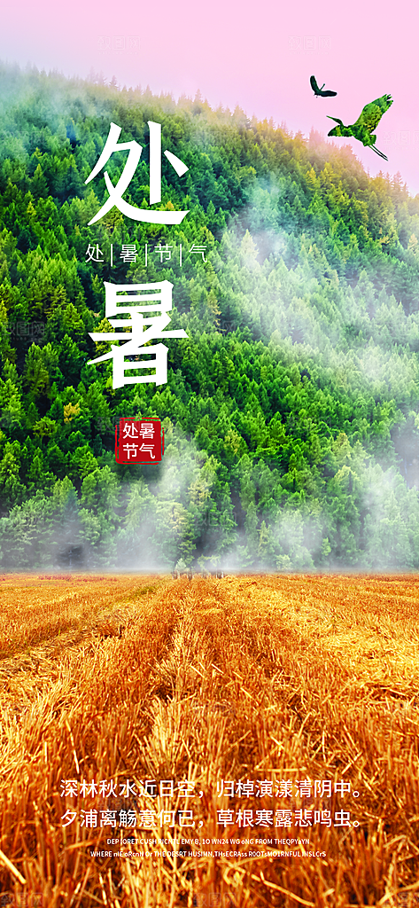 二十四节气传统节日处暑宣传海报