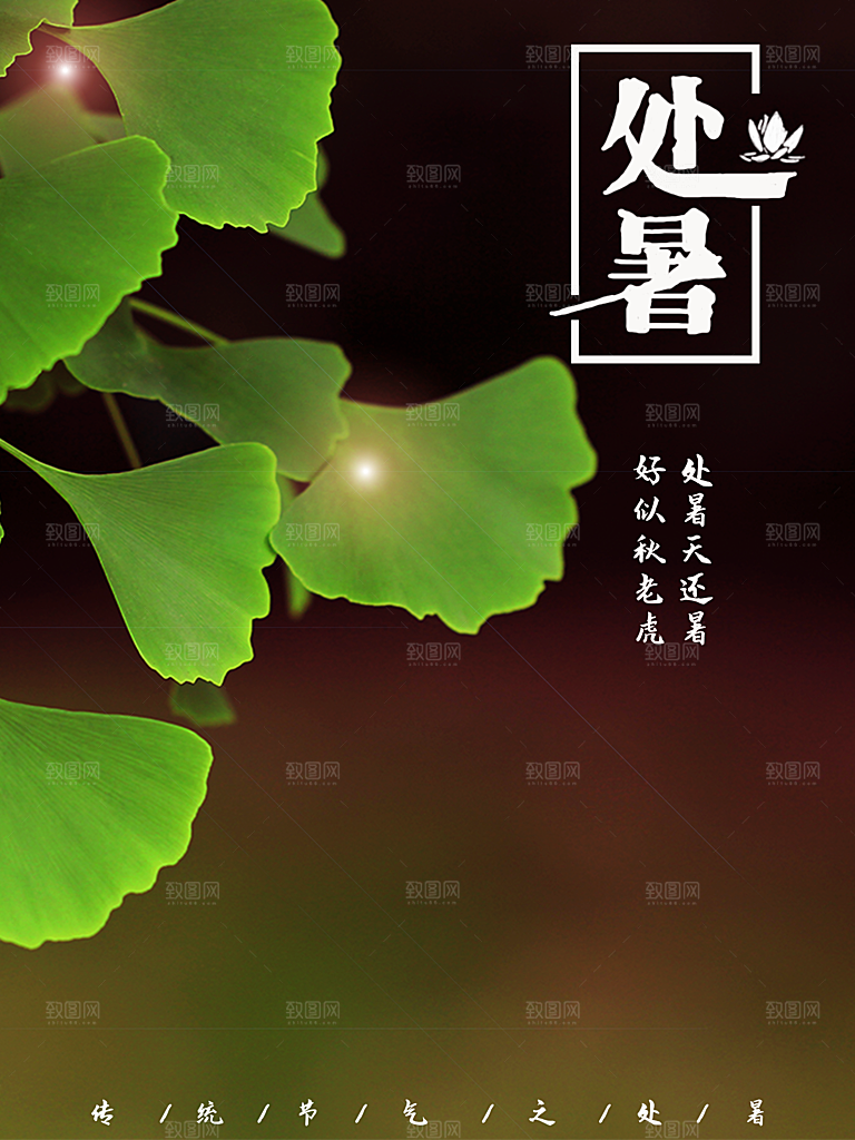 二十四节气传统节日处暑宣传海报