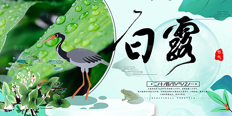白露二十四节气展板
