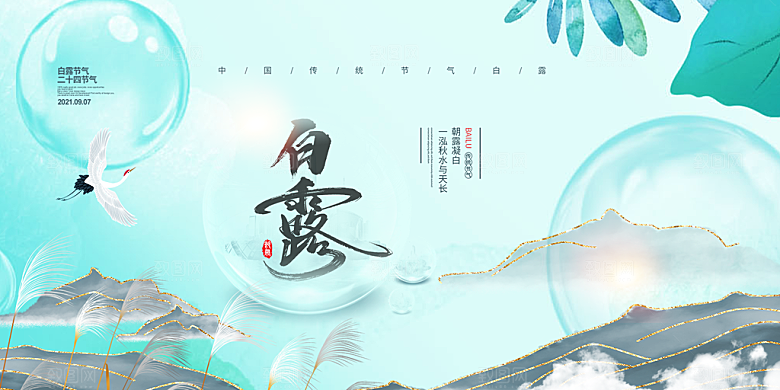 白露二十四节气展板