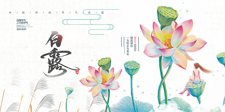 白露二十四节气展板