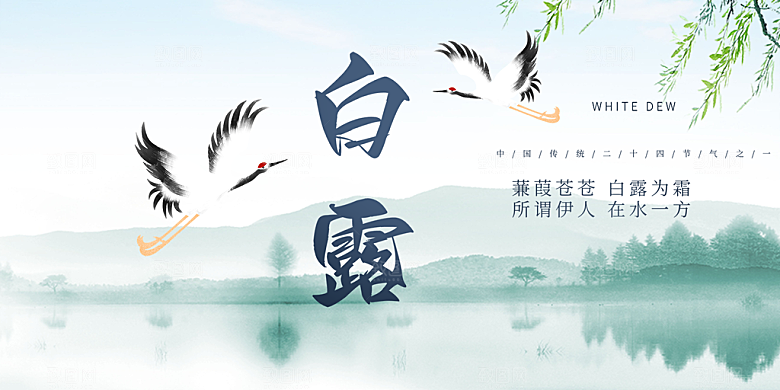 白露二十四节气展板