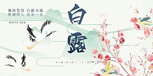 白露二十四节气展板