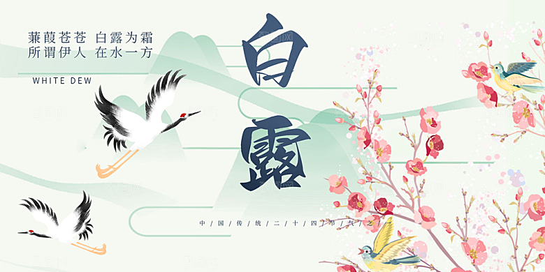 白露二十四节气展板