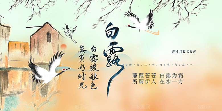 白露二十四节气展板