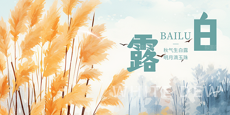 白露二十四节气展板
