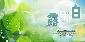 传统白露二十四节气展板