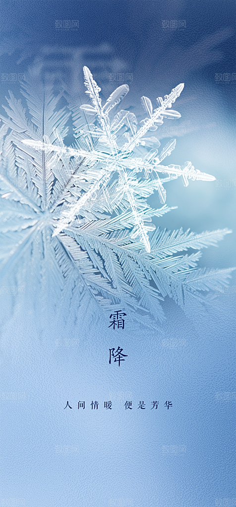 大气传统霜降二十四节气海报