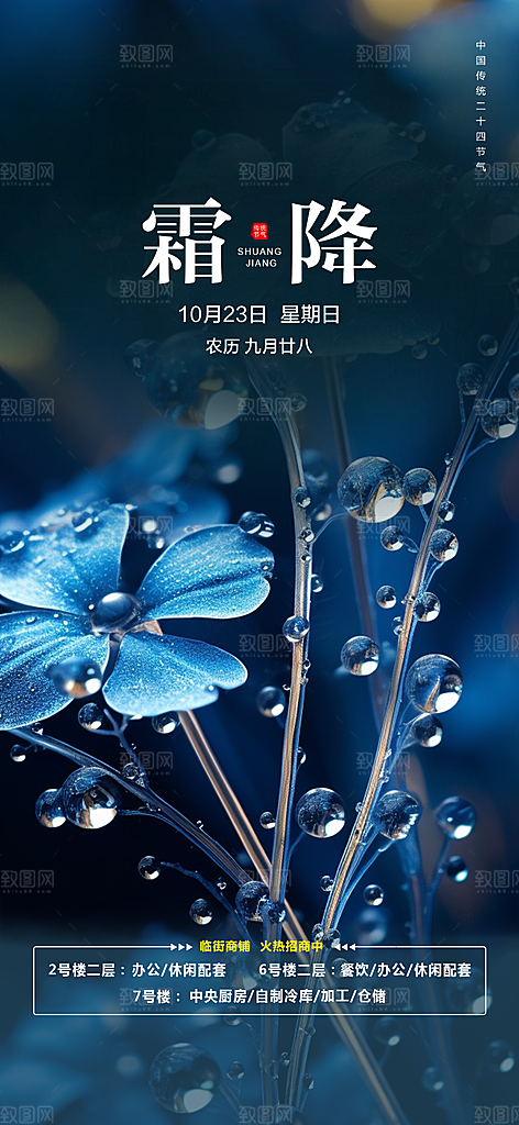 大气传统霜降二十四节气海报