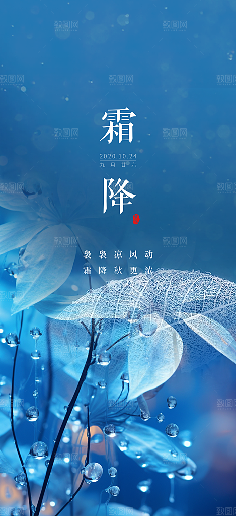 大气传统霜降二十四节气海报