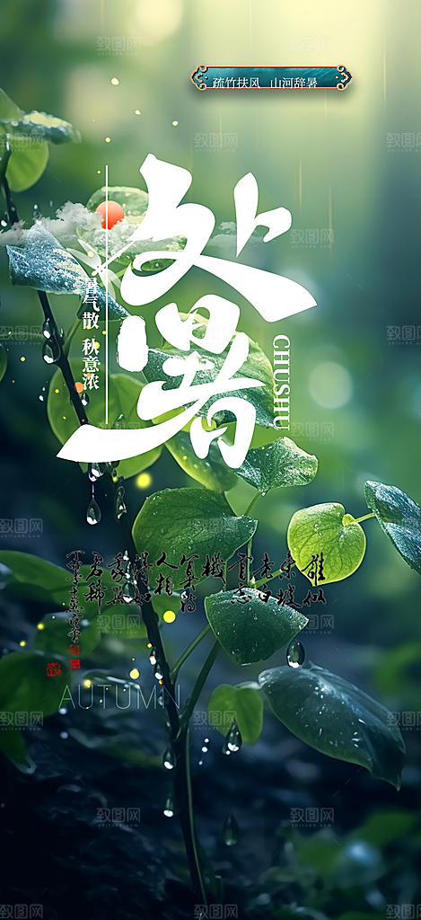 夏日夏天处暑二十四节气海报