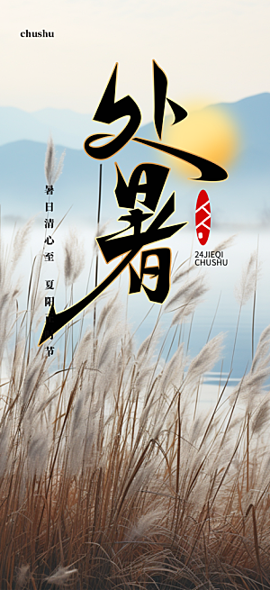 夏日夏天处暑二十四节气海报
