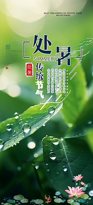 夏日夏天处暑二十四节气海报