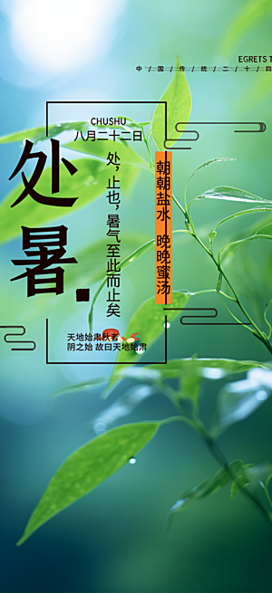 夏日夏天处暑二十四节气海报