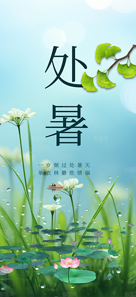 浅色夏日夏天处暑二十四节气海报