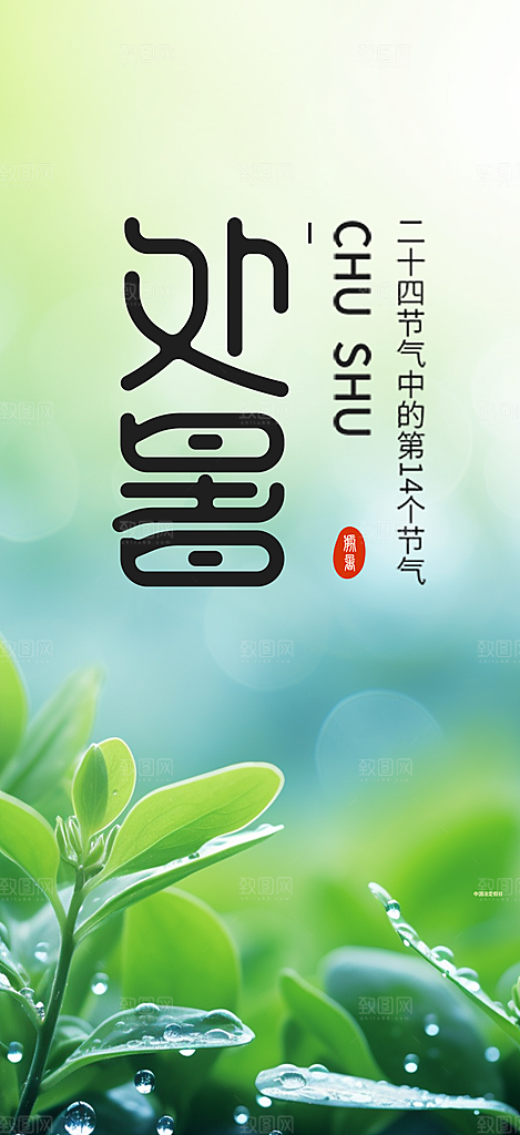 浅色夏日夏天处暑二十四节气海报
