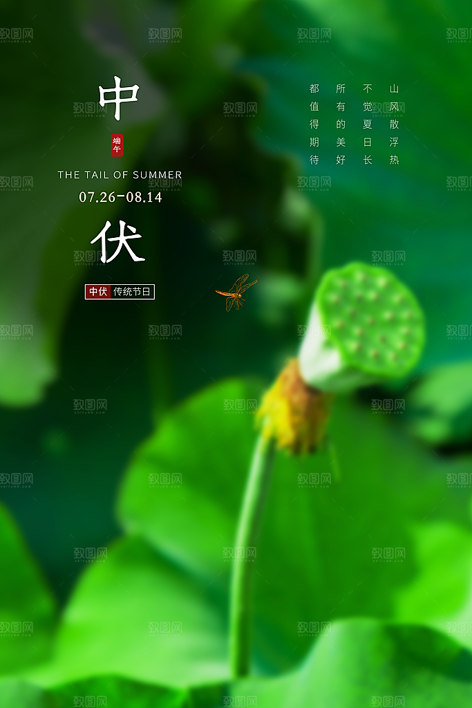三伏天中伏入伏初伏末伏节气H5节日海报