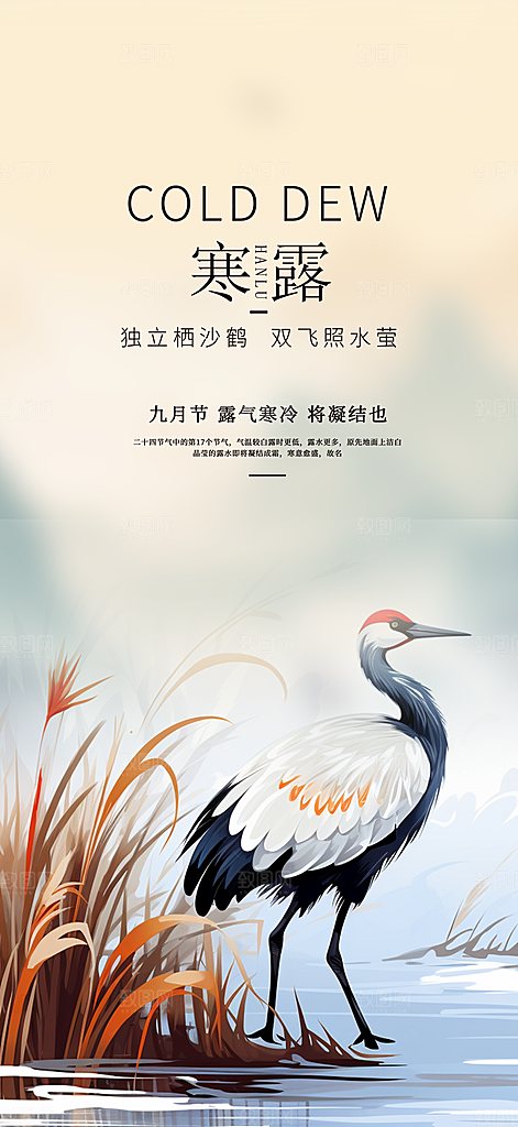 传统寒露二十四节气海报