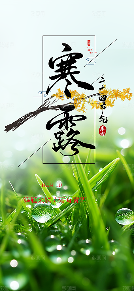 简约风传统寒露二十四节气海报