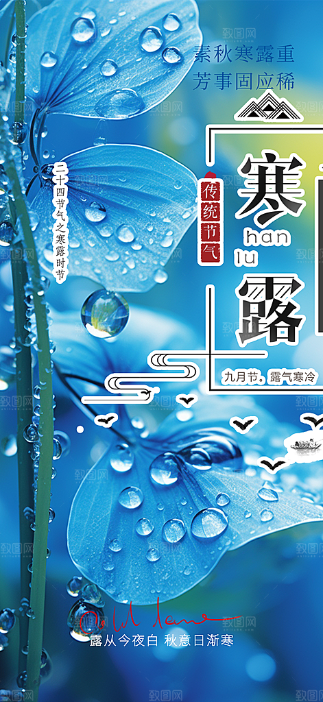 简约风传统寒露二十四节气海报