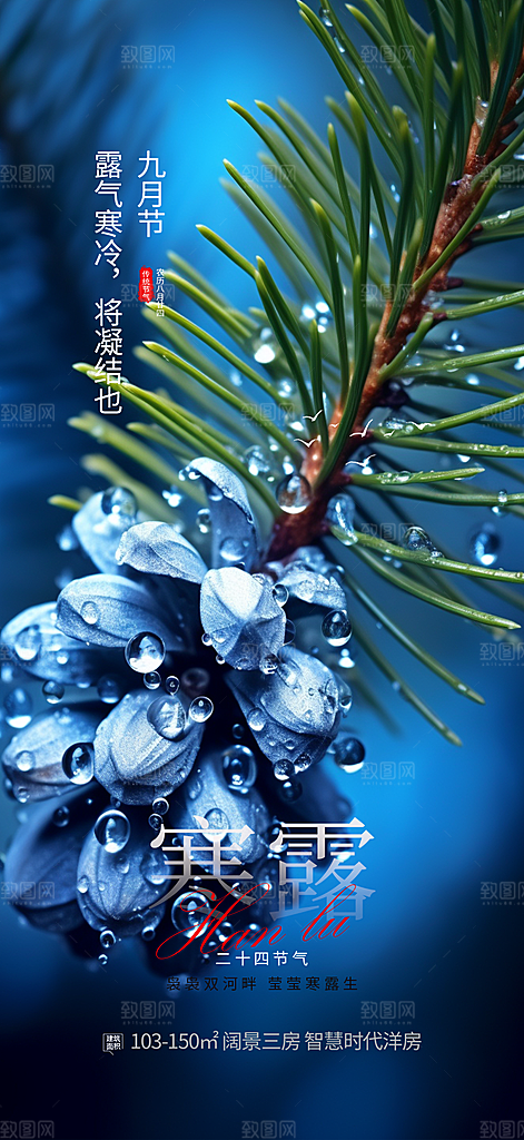 简约风传统寒露二十四节气海报