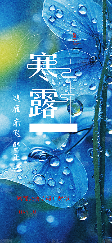 简约风传统寒露二十四节气海报