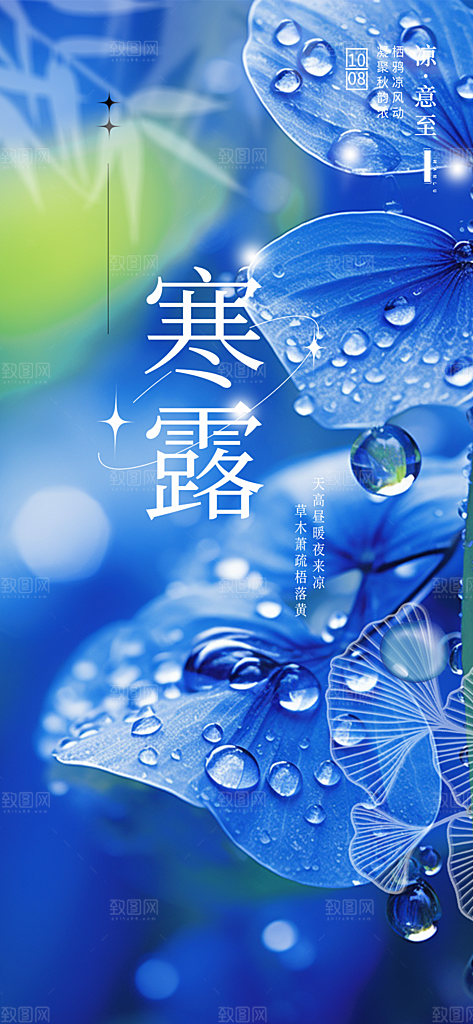 简约风传统寒露二十四节气海报