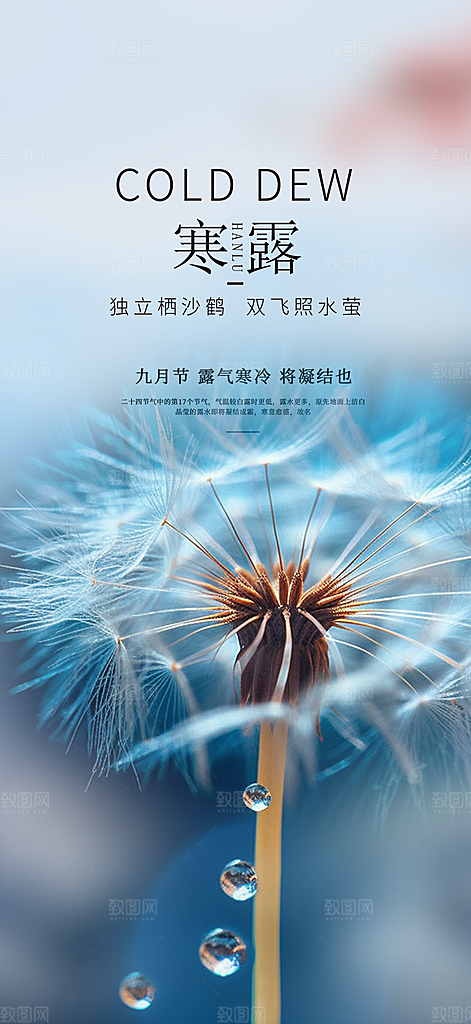 简约风传统寒露二十四节气海报