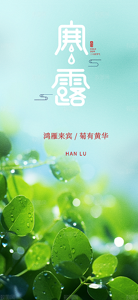 简约风传统寒露二十四节气海报