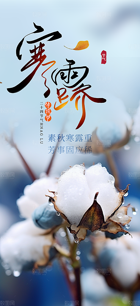 传统寒露节气海报
