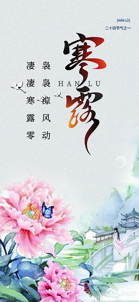 简约风传统寒露二十四节气海报
