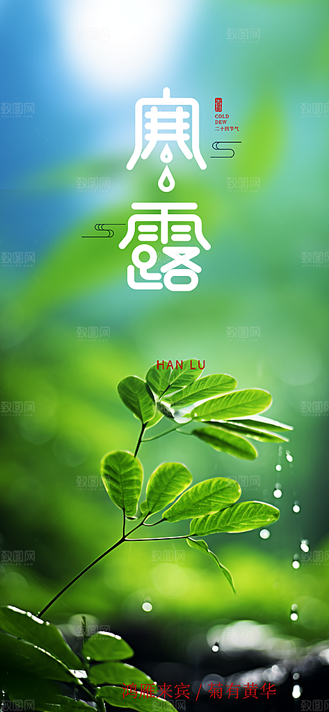 简约风传统寒露二十四节气海报