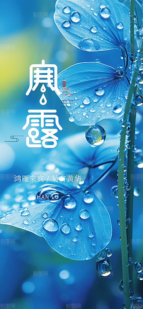 简约风传统寒露二十四节气海报