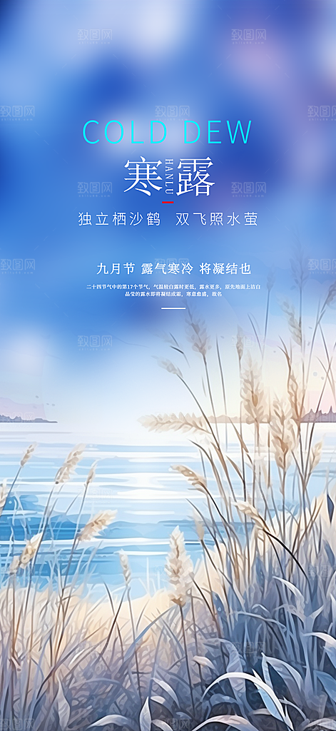 简约风传统寒露二十四节气海报
