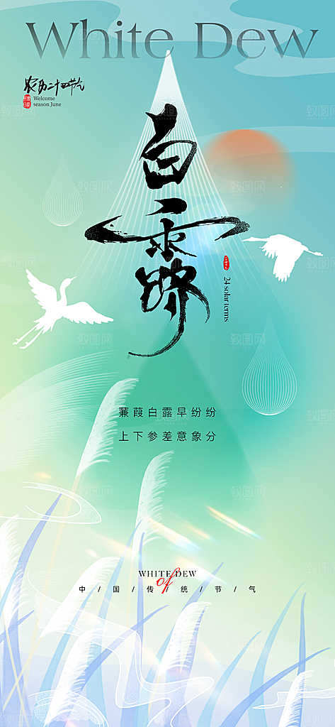 白露节气海报设计