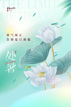 简约二十四节气处暑宣传海报