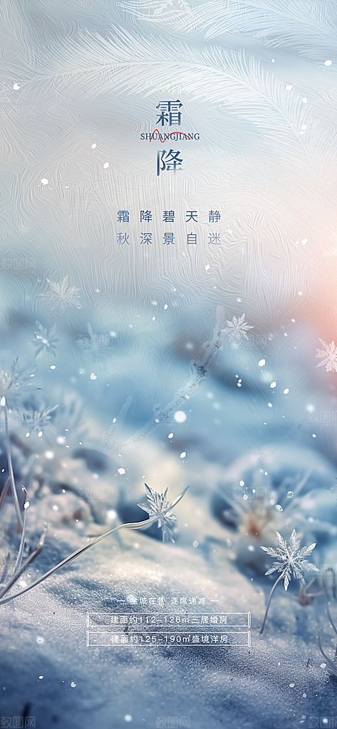 大气传统霜降二十四节气海报