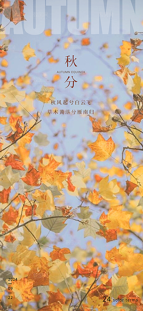 传统节气秋分海报模板