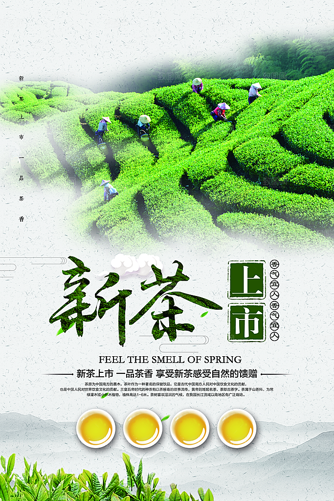 茶叶海报设计素材