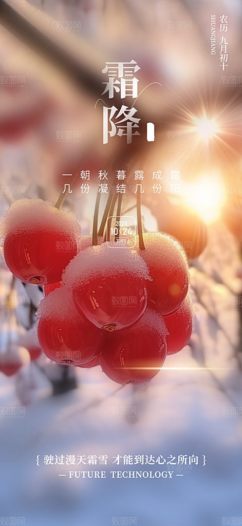 霜降二十四节气海报