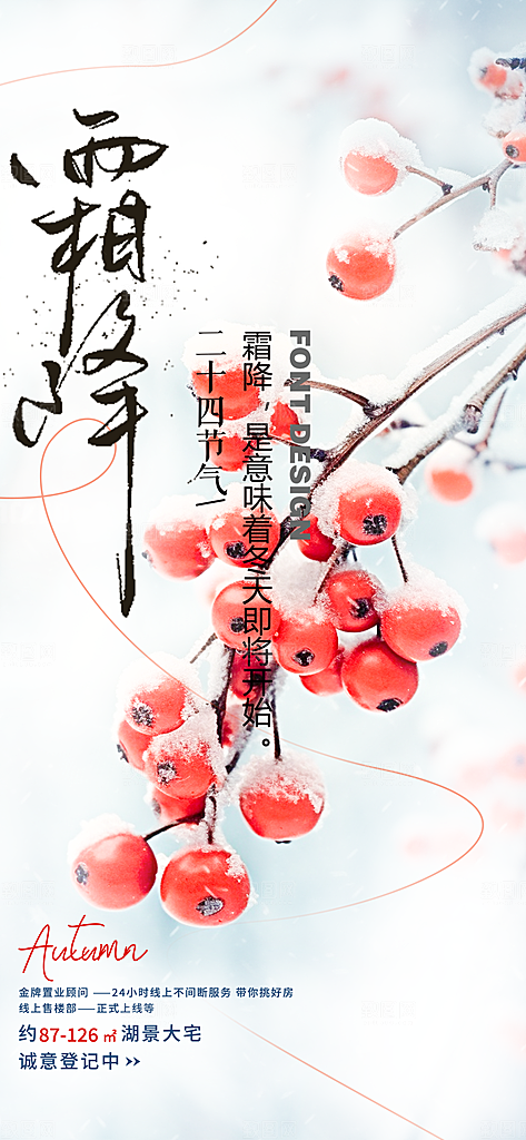 霜降二十四节气海报